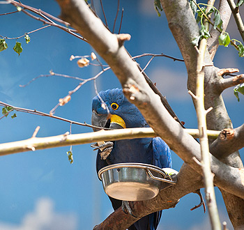 手机号狂轰滥炸软件