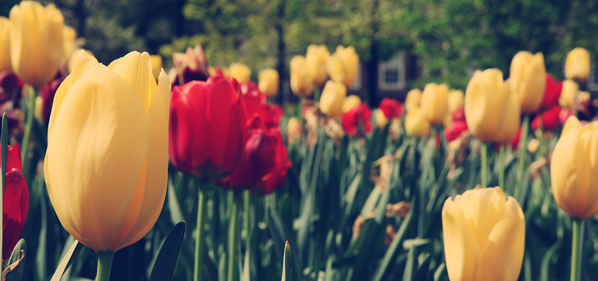 防封号外呼软件