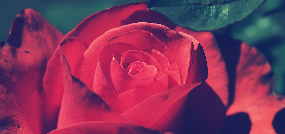 免费电话轰炸机